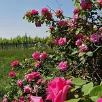 Bed & Breakfast Casa Ossan