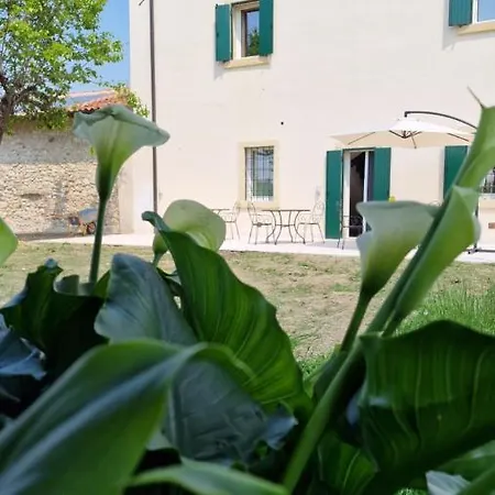 Casa Ossan