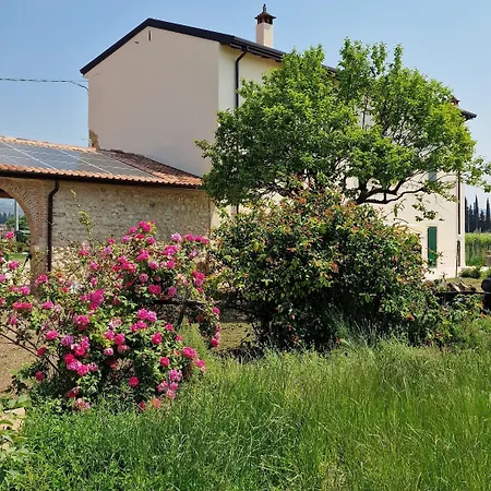 Casa Ossan 4*