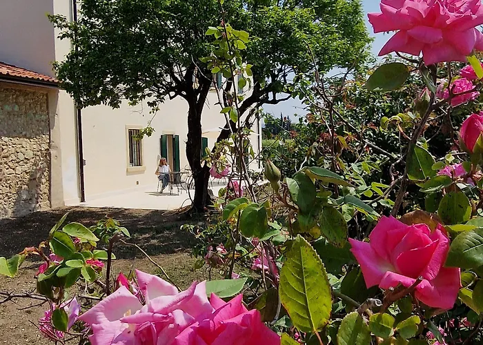 Casa Ossan Отель типа 