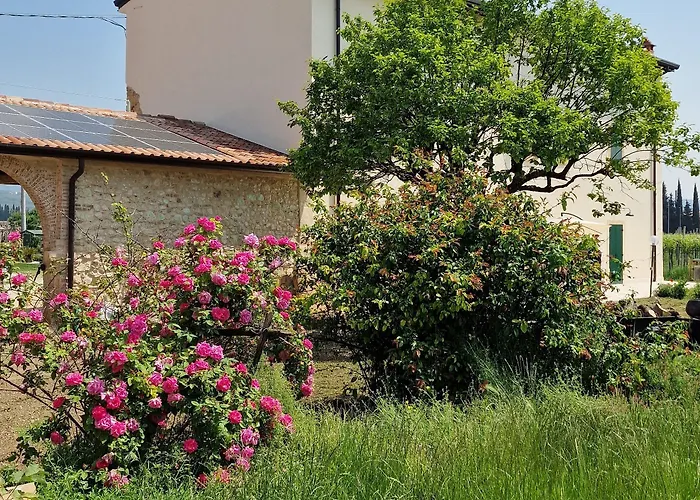 Casa Ossan 4*